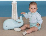 Dolce Petit Boys Green Shirt and Short Set